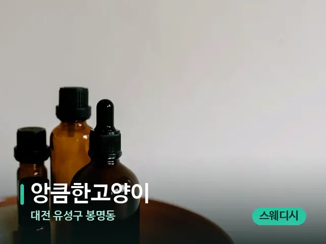 대전 유성구 봉명동 앙큼한고양이 — 마사지 오일과 도구