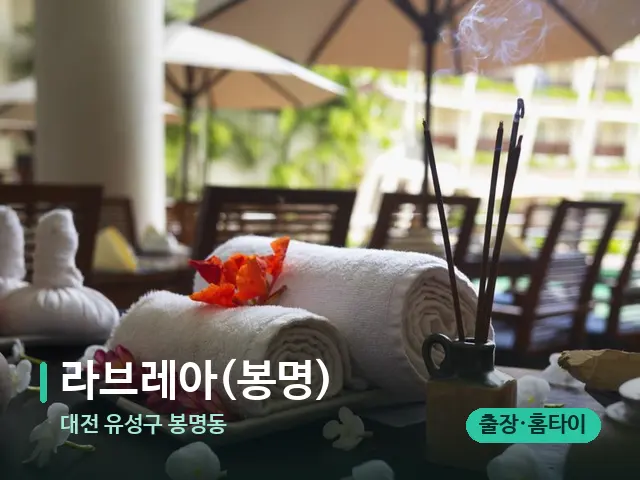 대전 유성구 봉명동 라브레아(봉명) — 스파 마사지 베드