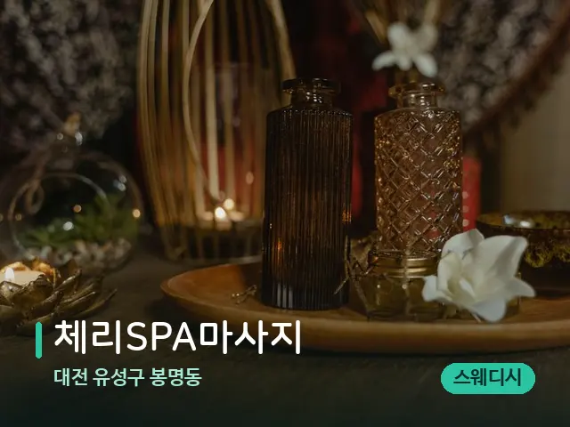 대전 유성구 봉명동 체리SPA마사지 — 스파 마사지 베드